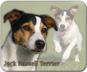 Mousepad Jack Russell Terrier #8